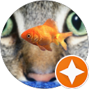 Viktor profile picture